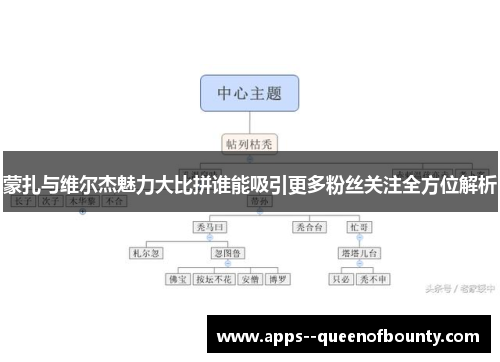 蒙扎与维尔杰魅力大比拼谁能吸引更多粉丝关注全方位解析